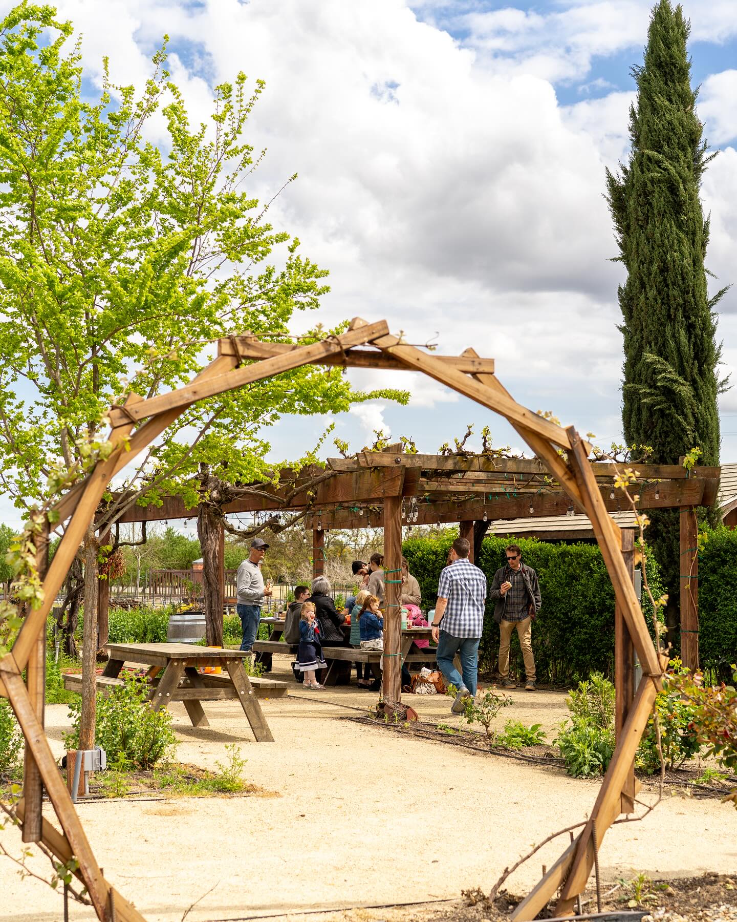 A group of people gathers around a picnic table under a wooden pergola in a garden, seen through a circular wooden trellis. Lush greenery and a cloudy sky surround the scene.