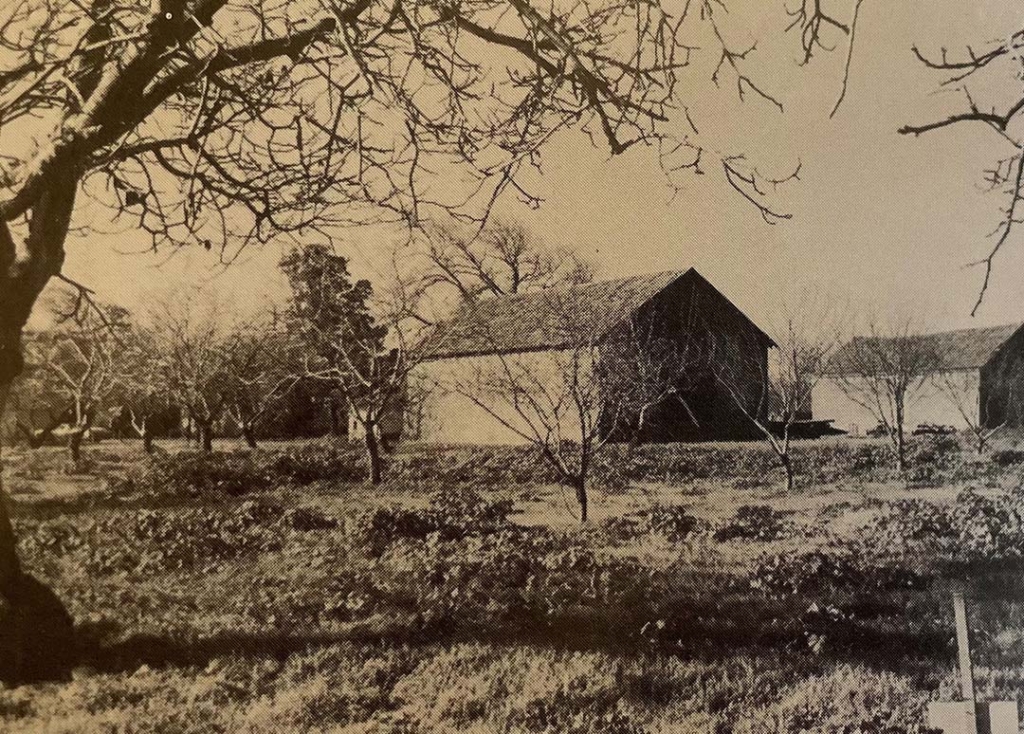 historic image of Original Zinc House Farm Barn-style building.