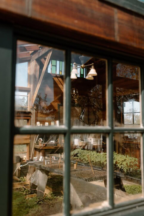 Sunlight streams through a multi-pane window, revealing an indoor garden or greenhouse with rows of young plants, wooden shelves, gardening tools, and rustic decor reflected and visible through the glass.