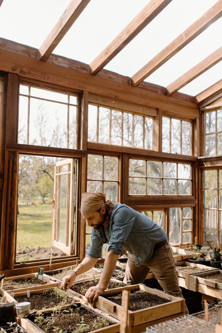 A person wearing a headscarf and denim shirt tends to seedlings in a wooden greenhouse with large windows and sunlight streaming in.