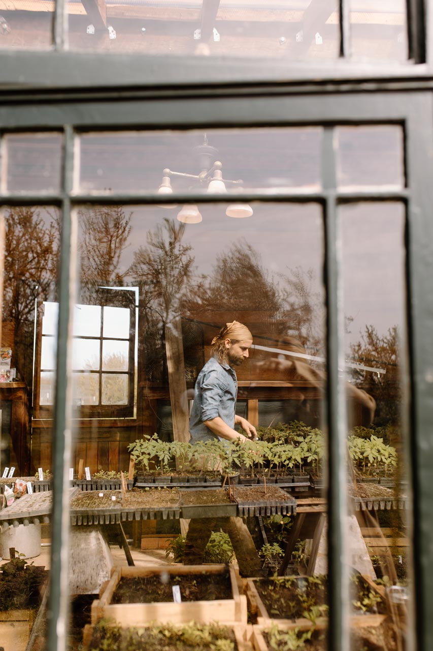 A person tends to seedlings on tables inside a greenhouse, viewed through a large window with reflections of trees and the sky outside.